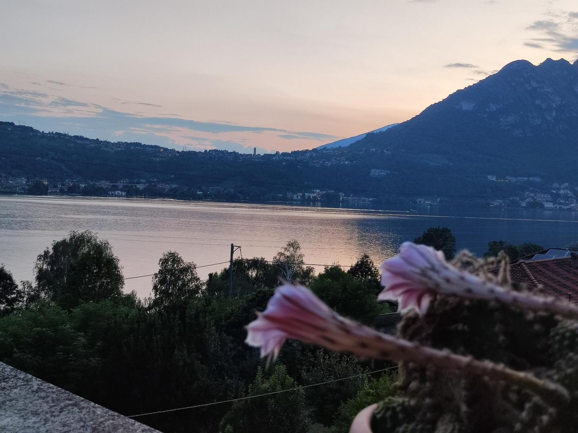 Terrazzo Sul Lago Lecco Eksteriør billede